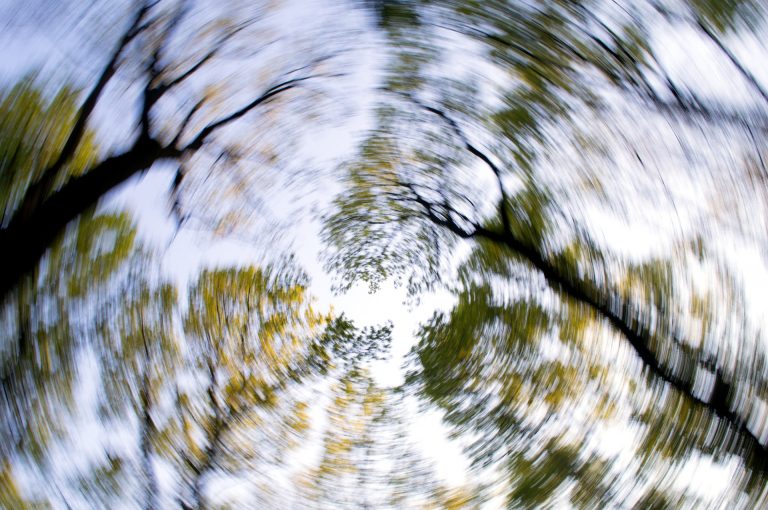 A spinning or dizzy photo of tree tops
